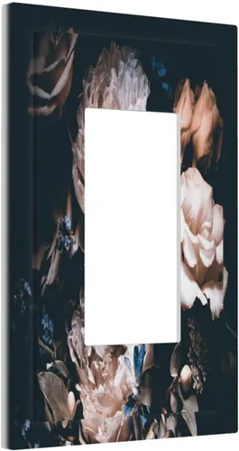Vista 58 de Decorative Outlet Covers African Woman Zebra Elephants Black Girl 1 Gang Duplex Light Switch Cover Plate Unique Wall Plates for Electrical Outlets