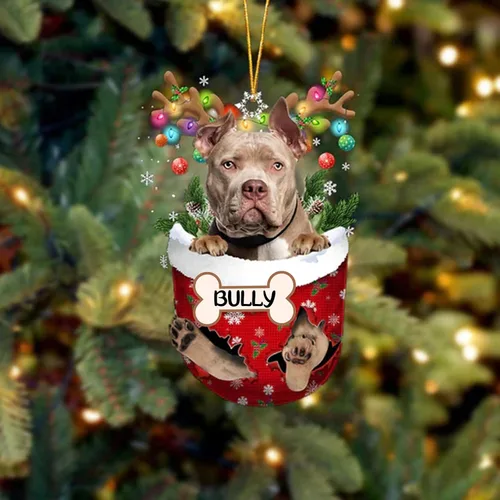 Vista 200 de IZI POD Affenpinscher Adorno de Navidad personalizado para perro, adorno de bolsillo de nieve para perro para árbol de Navidad, adorno acrílico