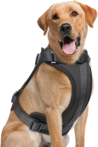 Vista 36 de Wisedog Arnés Ligero Sin Tirones para Perro: Arnés de Chaleco de Malla Transpirable Ajustable para Mascotas con Cojín Suave y Cómodo, para Perros