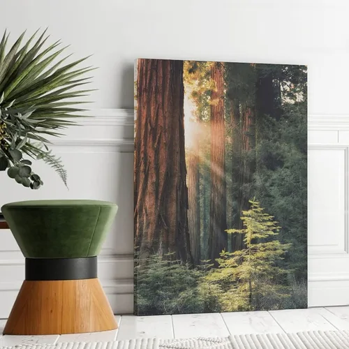 Vista 3 de Póster de lienzo con diseño de árbol de secuoya con salida del sol, bosque, naturaleza, decoración de dormitorio, paisaje deportivo, oficina