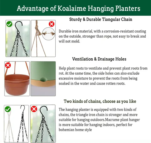 Vista 6 de Koalaime Maceta Colgante de Riego Automático de 10 Pulgadas, Juego de 2 Cestas Colgantes para Interior y Exterior, Macetas Colgantes con Agujero