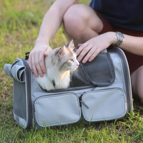 Vista 5 de FUKUMARU Transportador para Gatos, Transportador para Perros Pequeños de Lados Suaves, Bolsa de Viaje para Gatos Grandes con 4 Ventanas de Malla