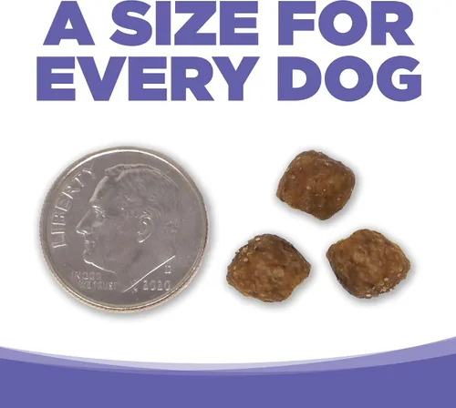 Vista 6 de NutriSource Alimento para cachorros para razas pequeñas y medianas, harina de pollo y arroz, 4 libras Pollo y Arroz, Alto Proteína, Estómago