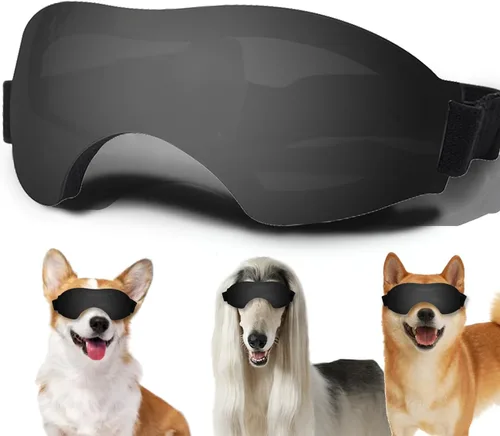 Vista 27 de Gafas de sol para perros pequeños, gafas para perros con correa ajustable, protección UV, adecuadas para perros pequeños Estilo liso-Multicolor