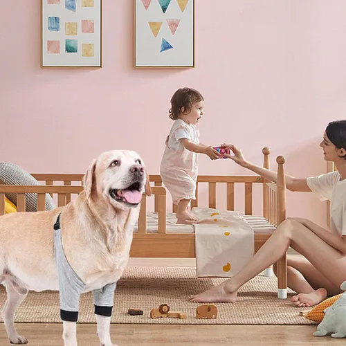Vista 3 de Protector de codo para perro, rodillera ajustable para perros pequeños, medianos y grandes, para callos (M)