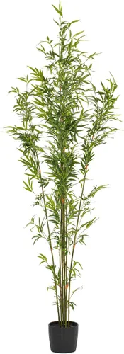 Vista 6 de Vickerman Mini árbol de bambú artificial en maceta de 5 pies.