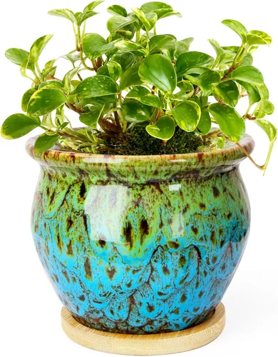 Vista 8 de ARTKETTY Macetas de 4.5 pulgadas con drenaje, pequeñas macetas de cerámica para plantas de interior Rojo