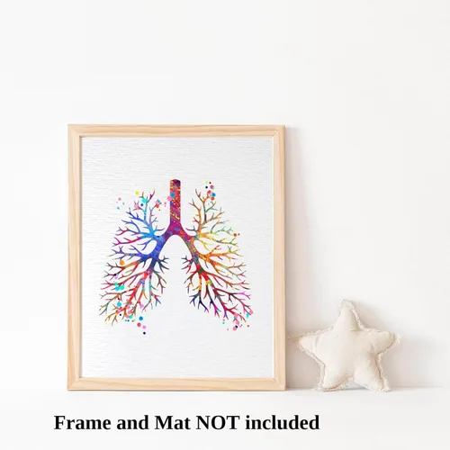 Vista 3 de Dignovel Studios 8X10 sin marco pulmonar anatomía humana acuarela arte impresión cartel ciencia médica inauguración casa giclée oficina decoración