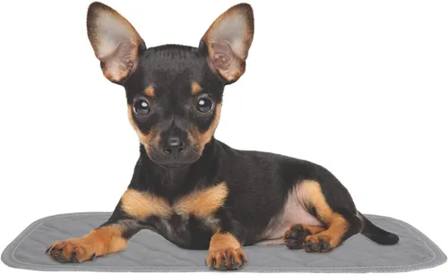 Vista 6 de rocket & rex Almohadillas Premium Lavables para Transportadoras de Mascotas, Reutilizables, Impermeables y Absorbentes, Almohadillas para Perros