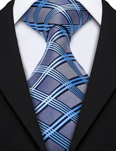 Vista 30 de Barry.Wang Juego de corbatas de seda para hombre, corbatas de boda de seda tejida formal de negocios casual (4/6/8PCS)