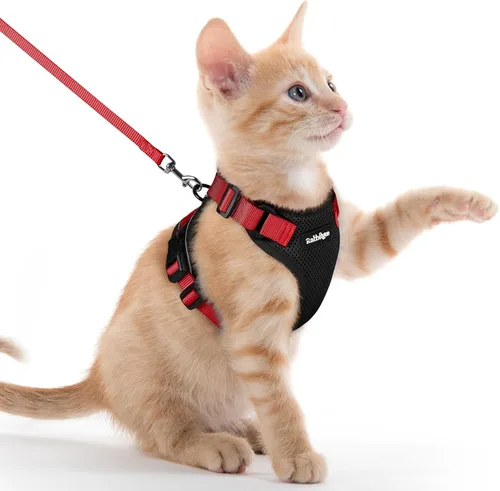 Vista 32 de rabbitgoo Cat Harness and Leash Set, Escape Proof Vest, XXS, Berry Pounce Soft Breathable Mesh, No-choke Adjustable Fit, Snap Buckles, Sturdy