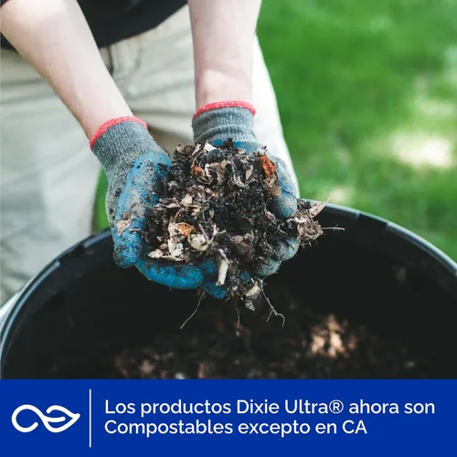 Vista 6 de Dixie Ultra Bandejas de Papel Desechables, 10" x 12.5", 25 Unidades – Diseño Duradero y Resistente
