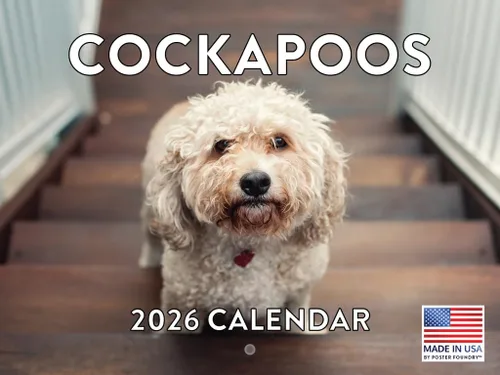 Vista 43 de Calendario mensual de pared Airedale Terrier Dog 2027 rojo (Airedale Terrier)