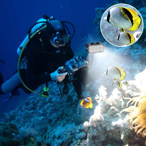 Vista 6 de Suptig Luz de buceo de alta potencia regulable impermeable LED luz de video de llenado luz nocturna subacuática luz impermeable 147 pies para Gopro
