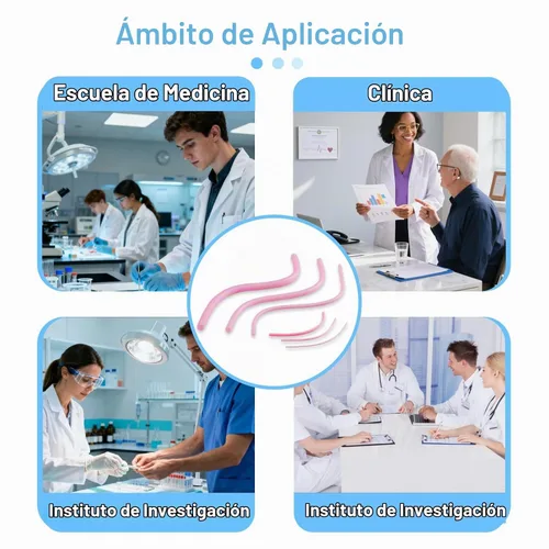 Vista 5 de Modelo de entrenamiento de anastomosis vascular de 4 piezas, simulador fantasma de vasos sanguíneos artificiales reutilizables para práctica