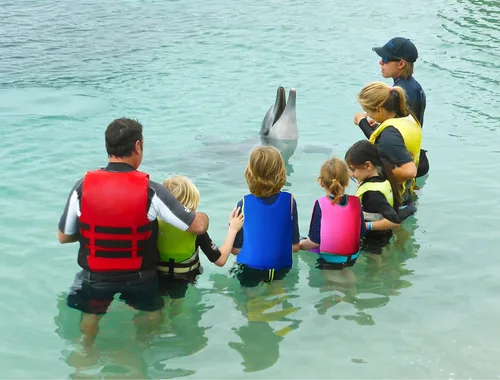 Vista 6 de Chaleco de natación para niños pequeños Chalecos flotadores para niños y niñas Chaqueta de natación con flotador Traje de baño con flotabilidad