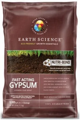 Vista 3 de Ciencias de la Tierra Yeso de acción rápida (25 lb.)