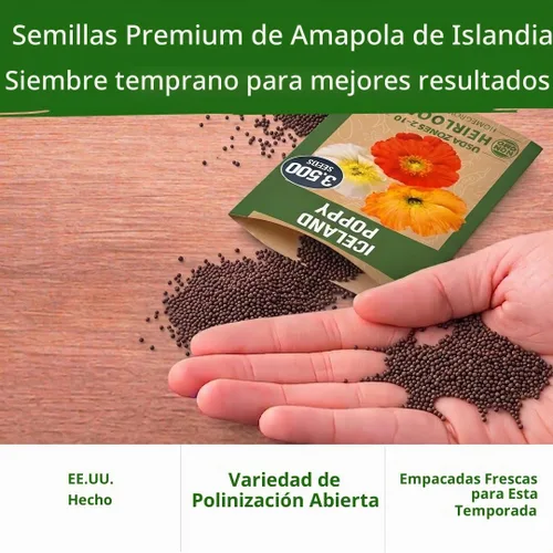 Vista 6 de HOME GROWN Islandia Poppy 3500 Semillas de flor Papaver nudicaule