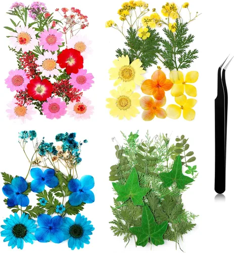 Vista 17 de Nuanchu Flores secas prensadas negras para manualidades, flores secas góticas, flores silvestres prensadas naturales a granel con pinzas para molde
