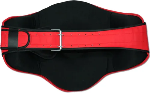 Vista 2 de MMA Muay Thai Belly Pad