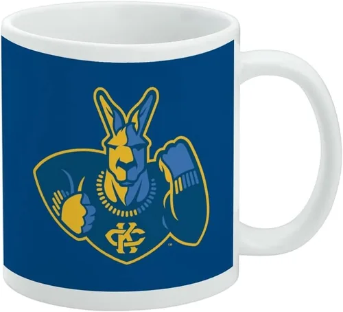 Vista 525 de Taza de cerámica con el logotipo principal de la Universidad Rider, taza de regalo novedosa para café, té y bebidas calientes, 11oz, blanca