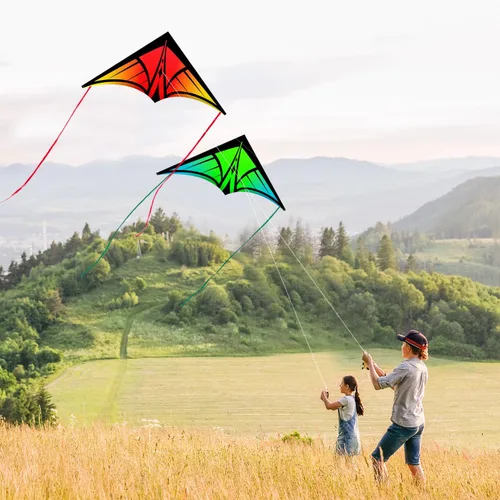 Vista 4 de Cometa Delta grande para niños y adultos, cometas al aire libre fáciles de volar para niños de 8 a 10 años, perfecta para actividades en la playa