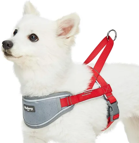 Vista 9 de Blueberry Pet Arnés morado para perro, tamaño mediano, arnés para perros pequeños, arnés para cachorros, chaleco de nailon reflectante, ajustable