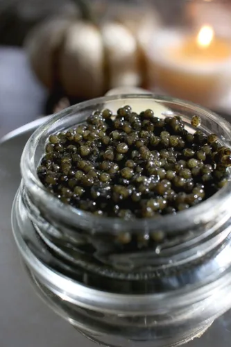 Vista 8 de Imperial Osetra Caviar – Huevas de esturión rusas, perlas de ámbar dorado, sabor a malossol mantecoso, (1 oz / 28 g)
