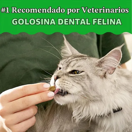Vista 3 de Greenies Golosinas dentales naturales para gatos adultos recomendadas por veterinarios, tentador sabor a atún, bolsa de 2.1 oz