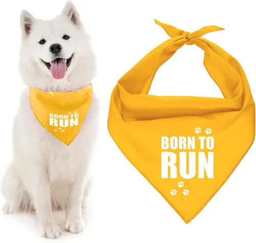 Vista 11 de Parisian Pet Bandanas naranjas para perros – Bandana ajustable para cachorros – Accesorios para perros para niños y niñas – Pañuelo para perros Best