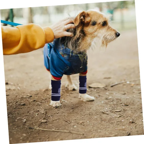 Vista 7 de BESTonZON 4pcs Pet Elbow Protectors Dog Leg Warmers Sleeves for Licking Prevention and Comfort