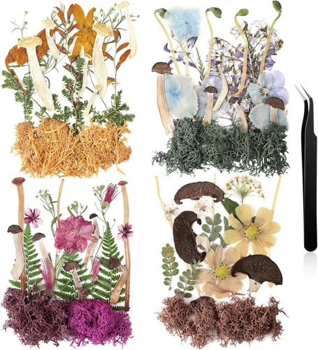 Vista 26 de Nuanchu Flores secas prensadas negras para manualidades, flores secas góticas, flores silvestres prensadas naturales a granel con pinzas para molde