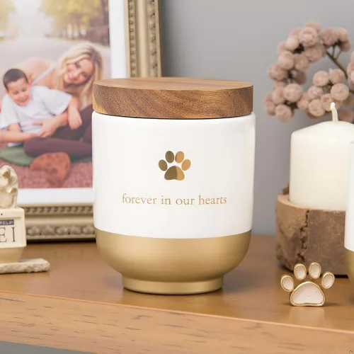 Vista 8 de Pearhead Urna de cerámica para mascotas Forever in Our Hearts, Memorial Urna Gold My Heart
