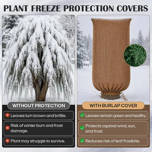 Vista 4 de Bolsas extra grandes de arpillera para plantas de invierno de 79 x