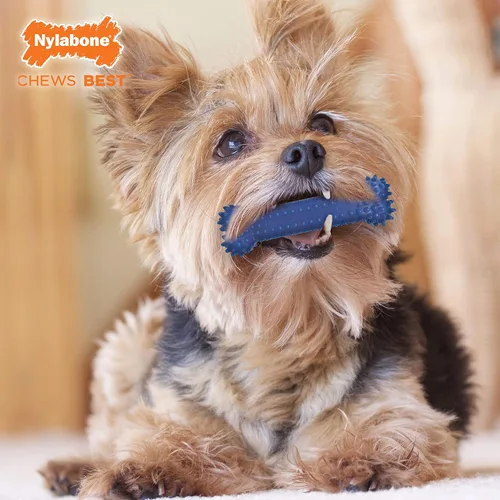 Vista 2 de Nylabone Moderate Chew FlexiChew Dental Chew Juguete Masticable Pollo PequeñoRegular (1 unidad)