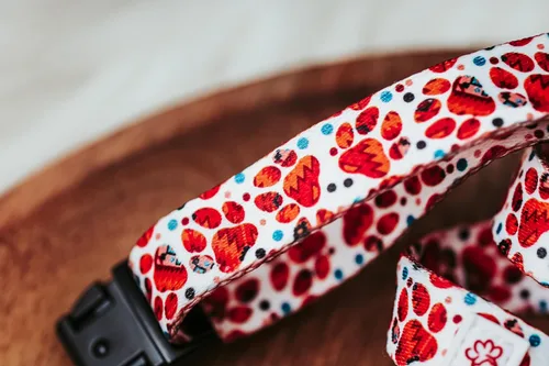 Vista 6 de Western Paw Print Collar (Small)