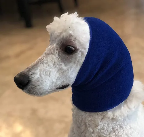Vista 13 de Capucha para mascotas para perros, ansiedad, aseo, orejeras, protección para oídos de perro, capucha relajante, compresión de oídos, sudadera