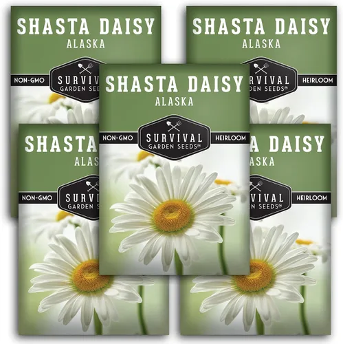 Vista 10 de Semilla de margarita Shasta para jardinería, paquete con instrucciones para plantar y cultivar hermosas flores perennes blancas en el jardín