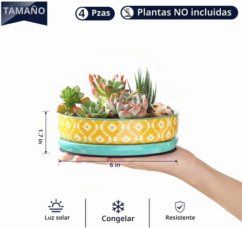 Vista 3 de Selamica Macetas de Cerámica para Suculentas, Macetas Poco Profundas para Suculentas con Orificio de Drenaje y Platillo, Macetas