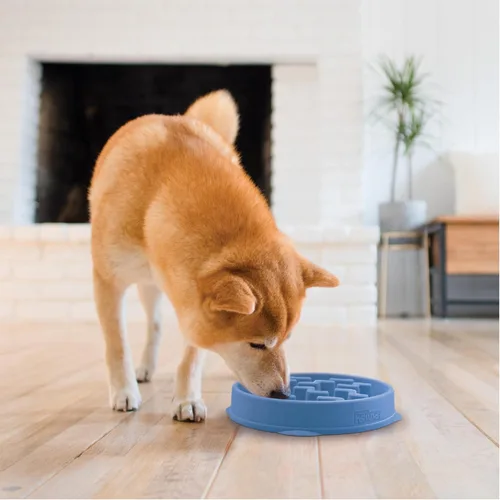Vista 6 de Outward Hound Fun Feeder Slo Bowl Cuenco para perro de alimentación lenta, mediano/pequeño, color azul
