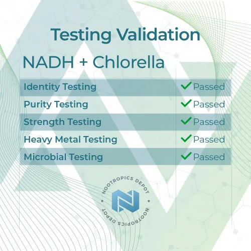 Vista 7 de Nootropics Depot NADH + Chlorella vulgaris (células rotas) cápsulas de 400 mg Dinucleótido de adenina de nicotinamida de 20 mg Clorofila 10 mg