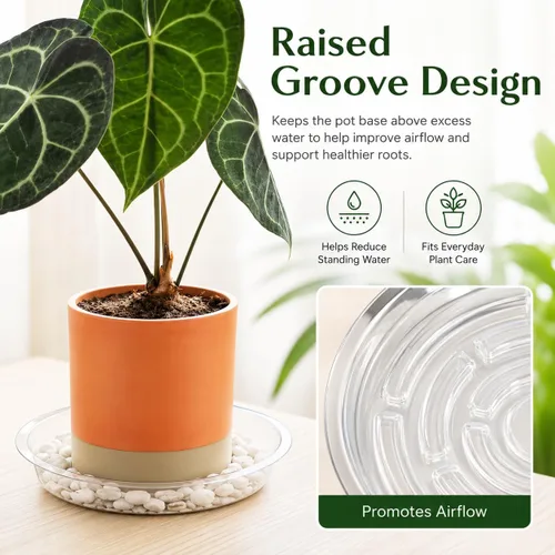 Vista 3 de Gardzen Platos de plástico transparente resistente para plantas, bandeja para macetas, excelente para plantas de interior y exterior