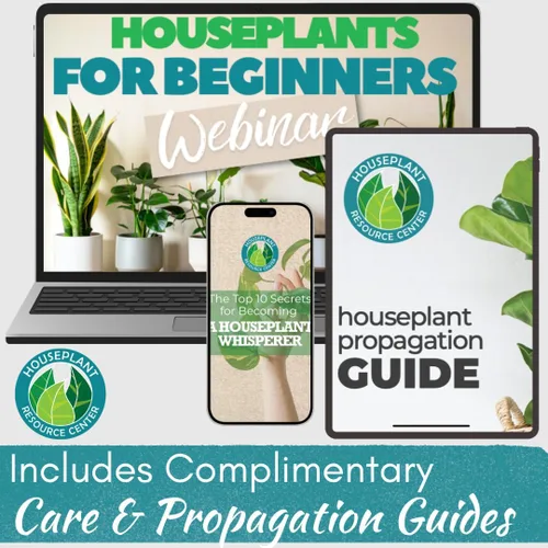 Vista 8 de Houseplant Prop Drops - Promotor de propagación y hormona de crecimiento de raíces Estimulador de raíces para esquejes Apoya plantas más fuertes