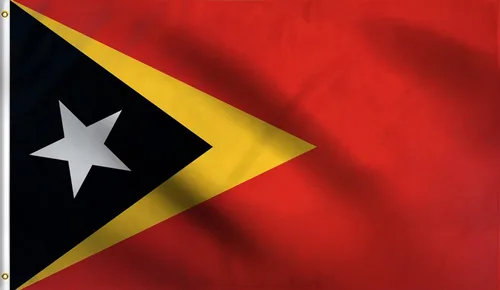 Vista 98 de DMSE - Bandera nacional beninesa beninesa de la República de África Occidental, 2 x 3 pies, 100 % poliéster, 100 % poliéster, resistente a los rayos