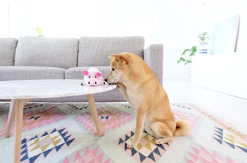 Vista 3 de Outward Hound Fattiez - Juguete de peluche chillón de pollo para perro, XS