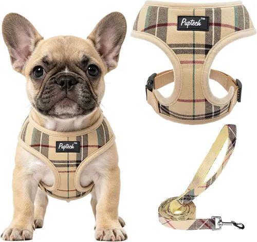 Vista 43 de PUPTECK Juego de arnés y correa de malla suave para perro, cachorro y gato, cómodo chaleco acolchado sin tirones, azul Pascua, S