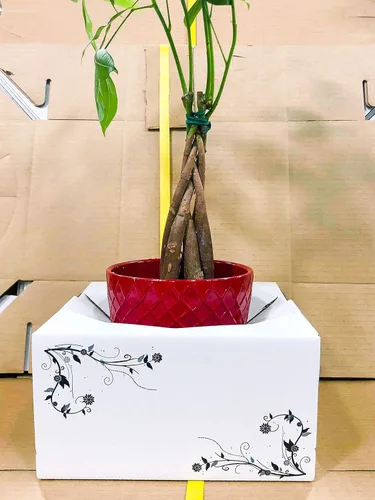 Vista 6 de Cajas de cartón para jarrón para entrega, cajas de floristería (8 x 8 x 4 pulgadas), paquete de 10