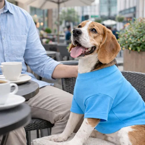 Vista 144 de Lovelonglong 2019 - Ropa para mascotas, Disfraces para Perro, Ropa Camisetas en blanco para Perros Grande Medianos Pequeños 100% Algodón 18