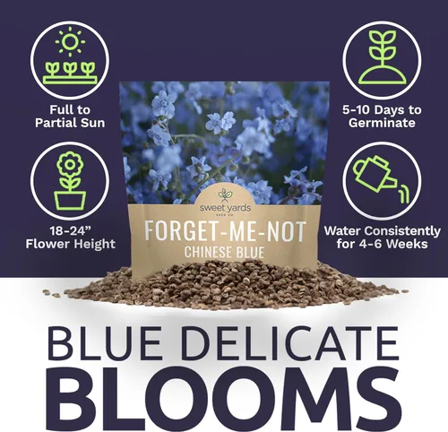 Vista 6 de Chinese Forget Me Not Wildflower Seeds - Paquete a granel de 1 onza - Más de 5,500 semillas polinizadas abiertas - Blue Cynoglossum amabile