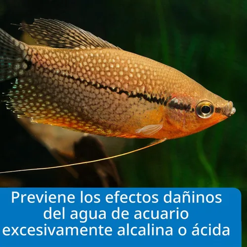 Vista 6 de API Kit de prueba de pH para acuario de agua dulce de 250 pruebas, juego de 4 piezas